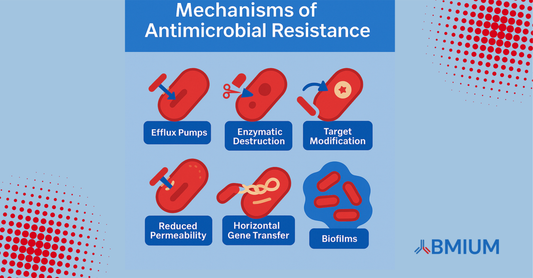 Understanding the Mechanisms of Antimicrobial Resistance: A Global Health Imperative